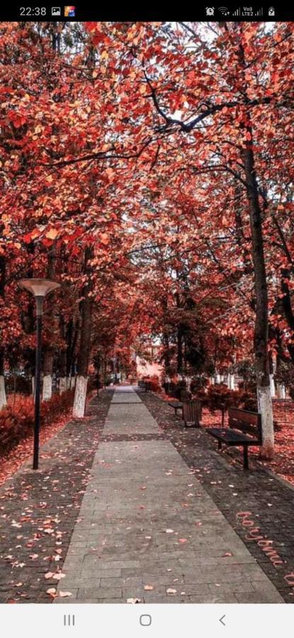 Gamsakhurdia Street ボルジョミ エクステリア 写真