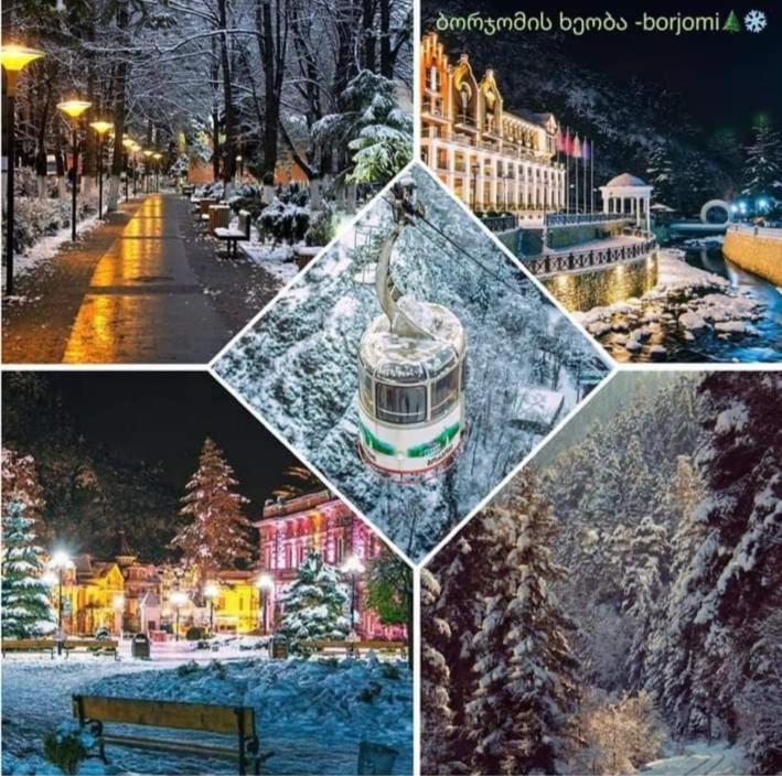 Gamsakhurdia Street ボルジョミ エクステリア 写真