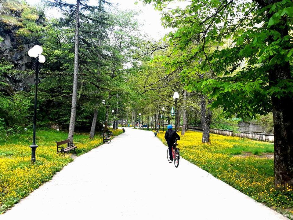 Gamsakhurdia Street ボルジョミ エクステリア 写真